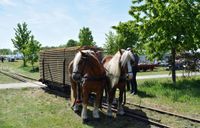 feldbahn-023